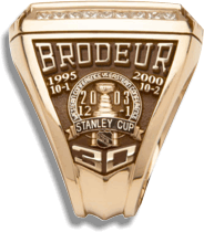 2002-03 Martin Brodeur New Jersey Devils Stanley Cup Finals Game Worn Jersey  - 2003 Stanley Cup Finals - Photo Match - Team Letter